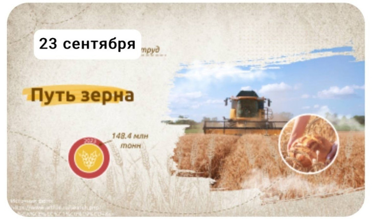 РАЗГОВОРЫ О ВАЖНОМ: Путь зерна.