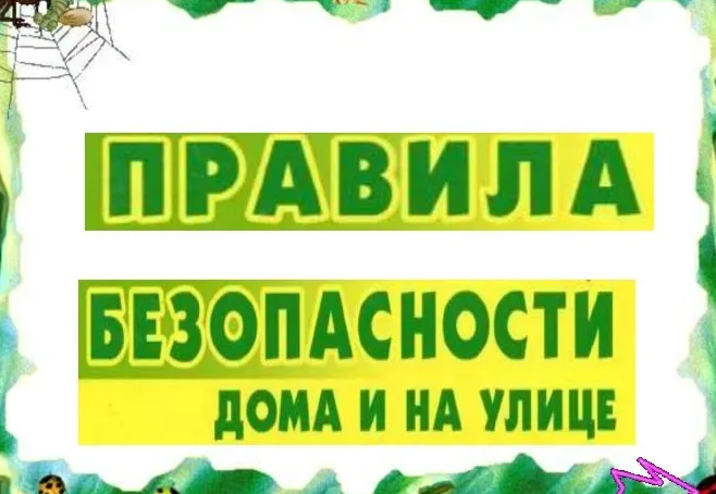 Безопасность поведения ребенка на улице и дома.